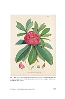  no thumbnail available