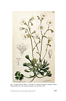  no thumbnail available