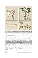  no thumbnail available