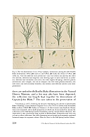  no thumbnail available