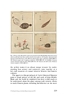  no thumbnail available