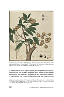  no thumbnail available