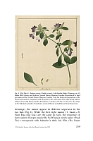  no thumbnail available