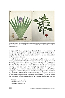  no thumbnail available