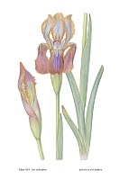  no thumbnail available