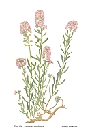  no thumbnail available