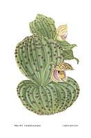  no thumbnail available