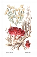  no thumbnail available