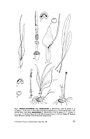 no HD illustration available (5) 