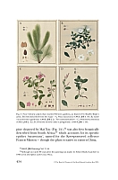  no thumbnail available