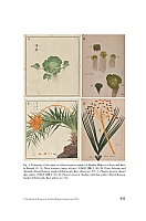  no thumbnail available