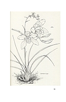  no thumbnail available