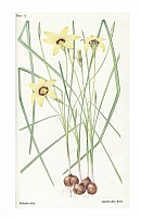  no thumbnail available