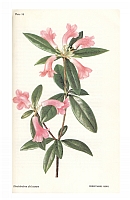  no thumbnail available