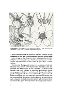 no HD illustration available (5) 