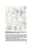 no HD illustration available (5) 