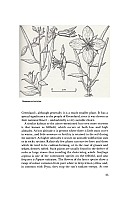  no thumbnail available