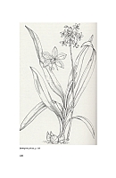  no thumbnail available