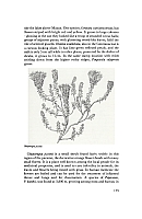  no thumbnail available