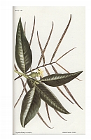 no HD illustration available (5) 