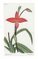 no HD illustration available (5) 