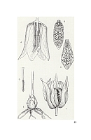  no thumbnail available