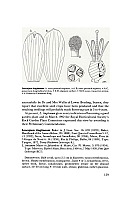  no thumbnail available