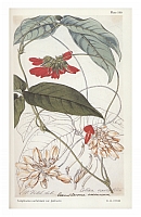  no thumbnail available