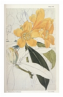  no thumbnail available