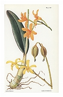  no thumbnail available