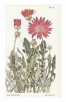  no thumbnail available