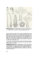  no thumbnail available