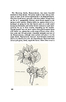  no thumbnail available