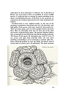  no thumbnail available