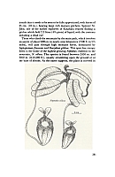  no thumbnail available