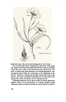  no thumbnail available