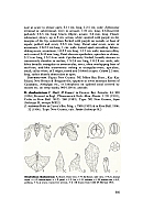 no HD illustration available (5) 