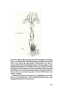 no HD illustration available (5) 