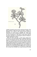  no thumbnail available