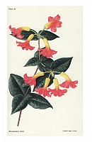  no thumbnail available