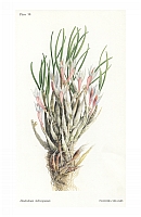 no HD illustration available (5) 