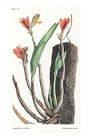  no thumbnail available