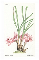  no thumbnail available