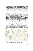 no HD illustration available (5) 