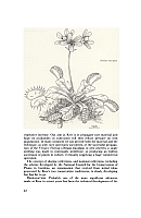 no HD illustration available (5) 