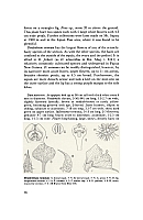 no HD illustration available (5) 