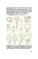 no HD illustration available (5) 