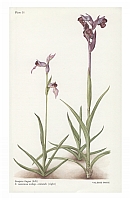  no thumbnail available