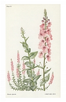  no thumbnail available