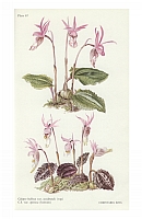  no thumbnail available